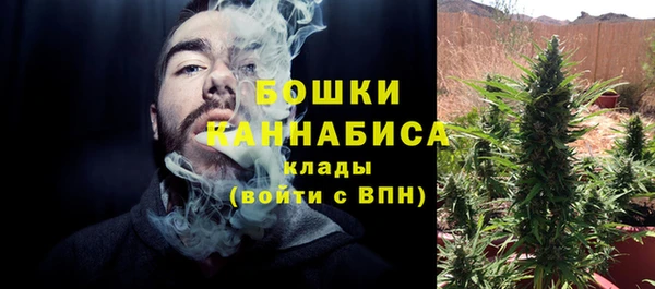 бошки Кедровый