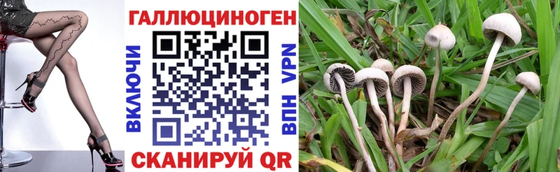 как найти наркотики  Лабинск  сайты даркнета формула  Псилоцибиновые грибы MAGIC MUSHROOMS 