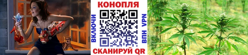 Шишки марихуана THC 21% Лабинск